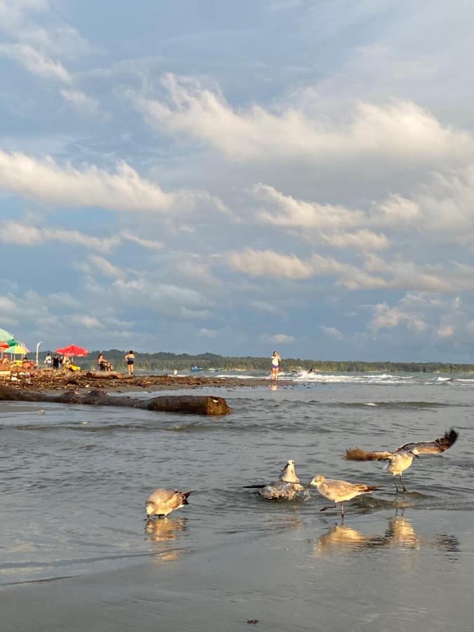 Acuarios Hostal Playa Ladrilleros 外观 照片